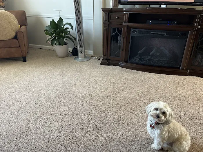 Fiber Dry Carpet & Upholstery Cleaning Picture 6