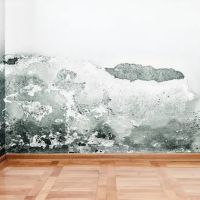 PuroClean of Muncie ico