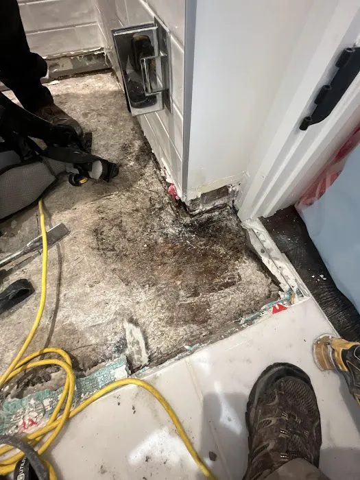 Elite Remediation & Services Picture 5