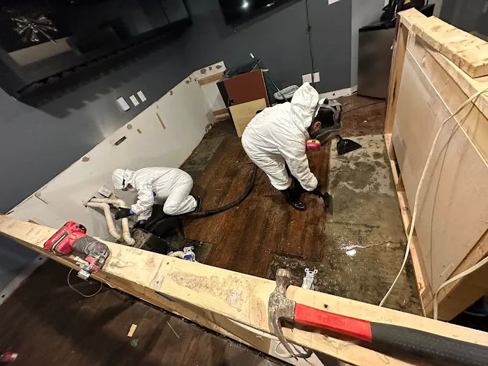 Guardian Angel Restoration Picture 9