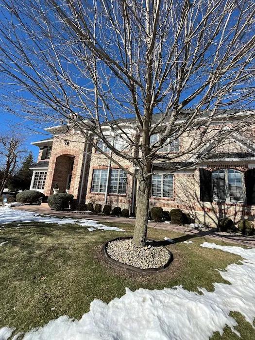 Guardian Angel Restoration Picture 10