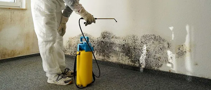 Indiana Restoration & Cleaning Services Picture 10