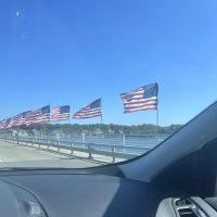 PuroClean Disaster Restoration ico