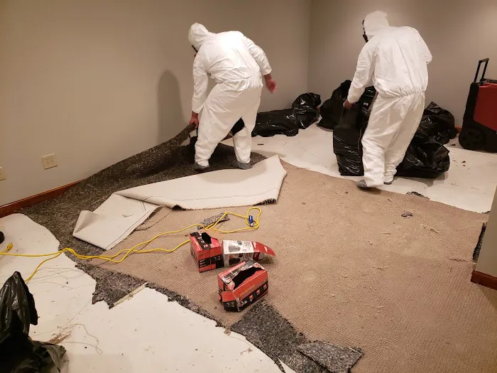 The Cleaning Source Picture 8