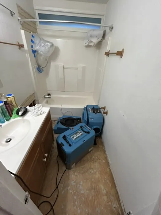 The Cleaning Source Picture 6