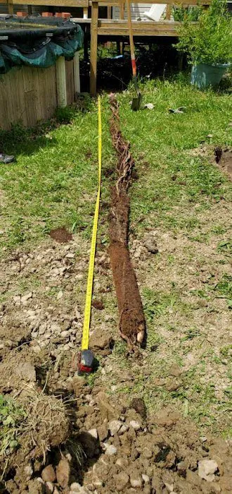 Roto-Rooter Plumbing & Drain Services Picture 10