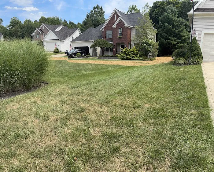 Pioneer Basement Solutions Picture 5