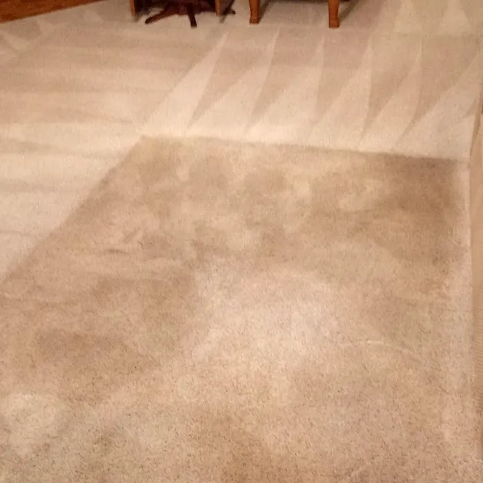 DL Restore All Picture 9