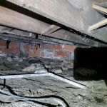 Airguard Restoration