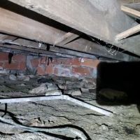 Airguard Restoration ico