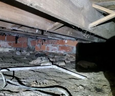 Airguard Restoration