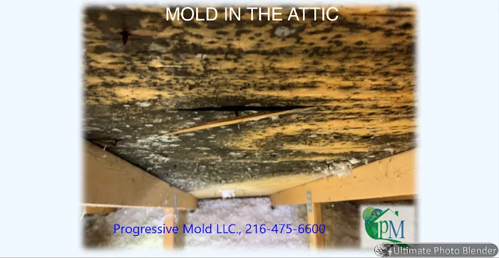 Progressive Mold, LLC Picture 6