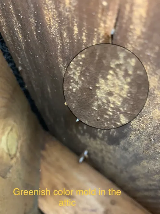 Progressive Mold, LLC Picture 2