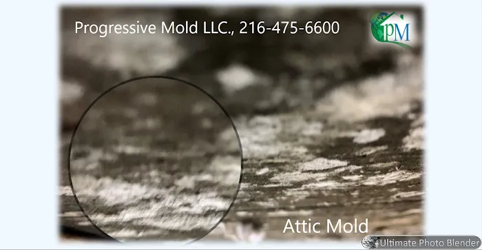Progressive Mold, LLC Picture 4