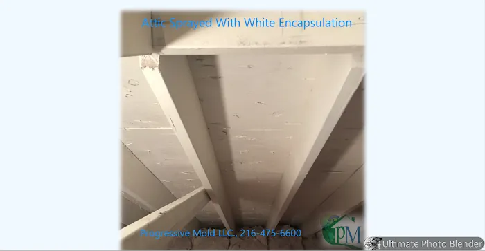 Progressive Mold, LLC Picture 3