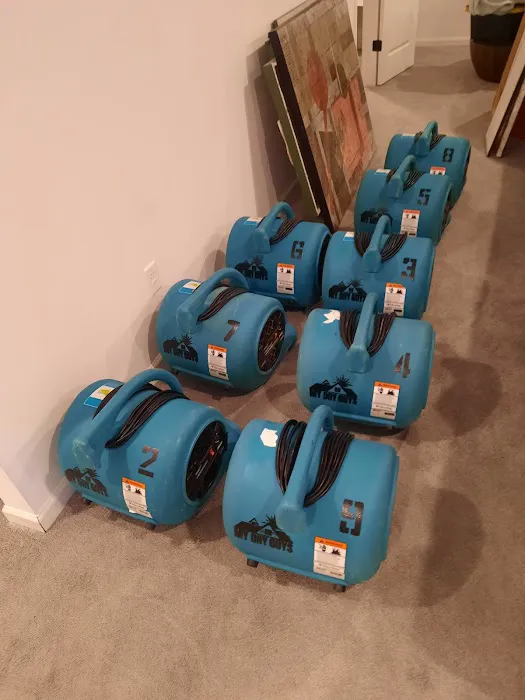 My Dry Guys Picture 1