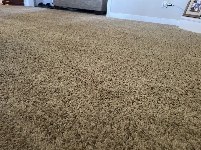 Carpet Pro Services Picture 10