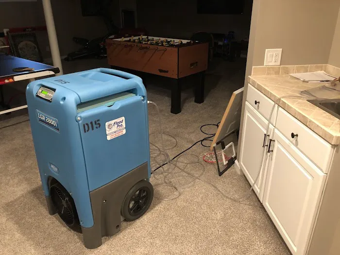 Carpet Pro Services Picture 4