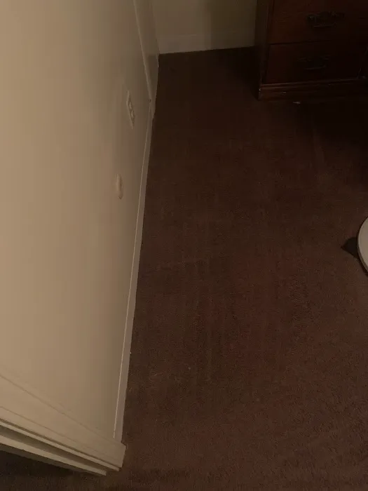 Carpet Pro Services Picture 5