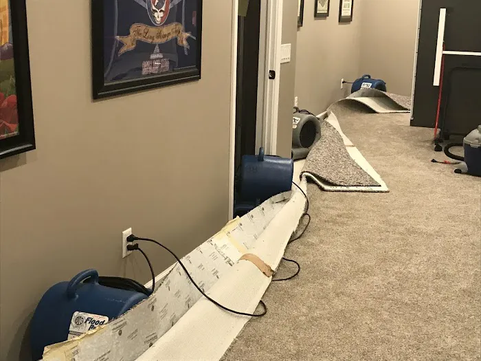 Carpet Pro Services Picture 7