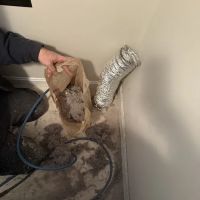 Carpet Pro Services ico