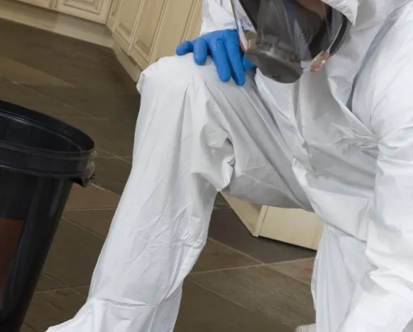 Nokoru Remediation Picture 4