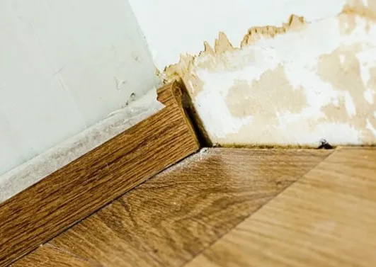 Nokoru Remediation Picture 7