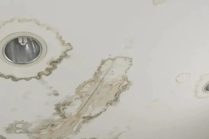 Ventana Mold Removal Picture 2