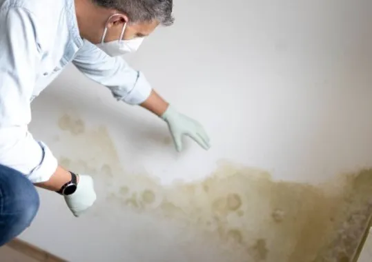 Ventana Mold Removal Picture 5