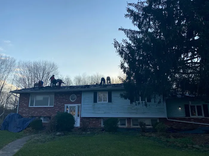 Whitetail Restoration Picture 1