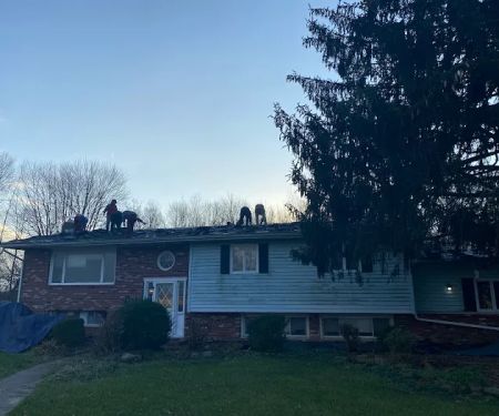 Whitetail Restoration