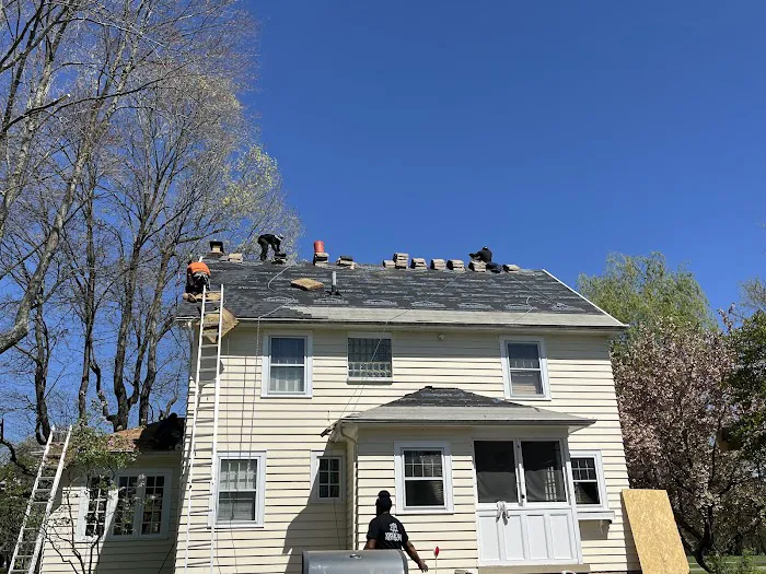 Whitetail Restoration Picture 3