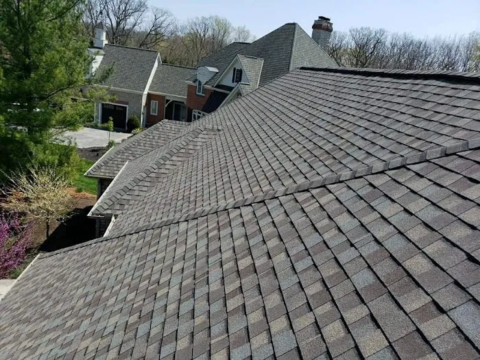 Whitetail Restoration Picture 8