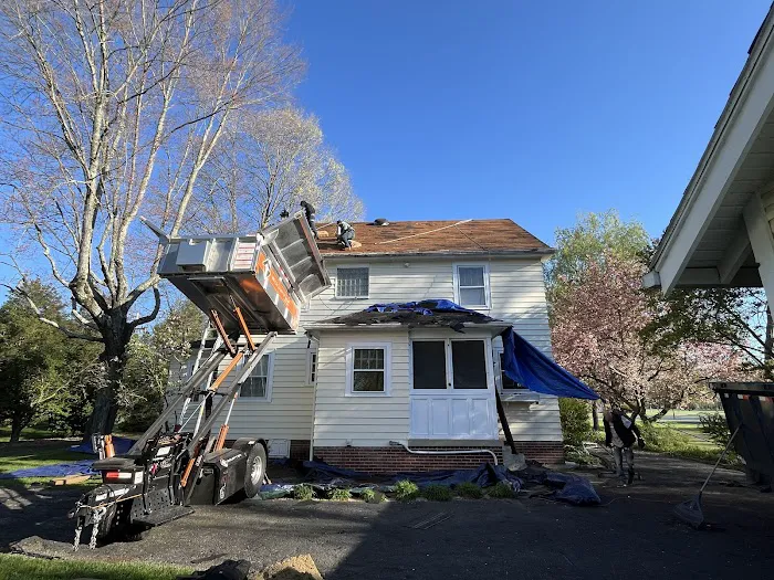 Whitetail Restoration Picture 5