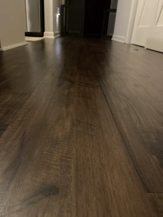 Stanley Steemer Picture 7