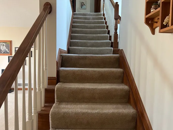 King of Kings Carpet Cleaning Picture 1