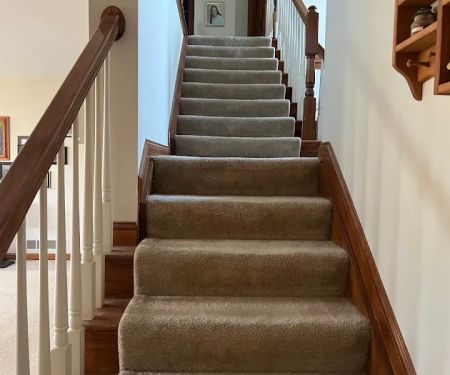 King of Kings Carpet Cleaning