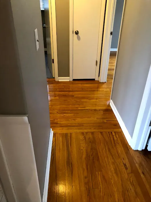 King of Kings Carpet Cleaning Picture 7