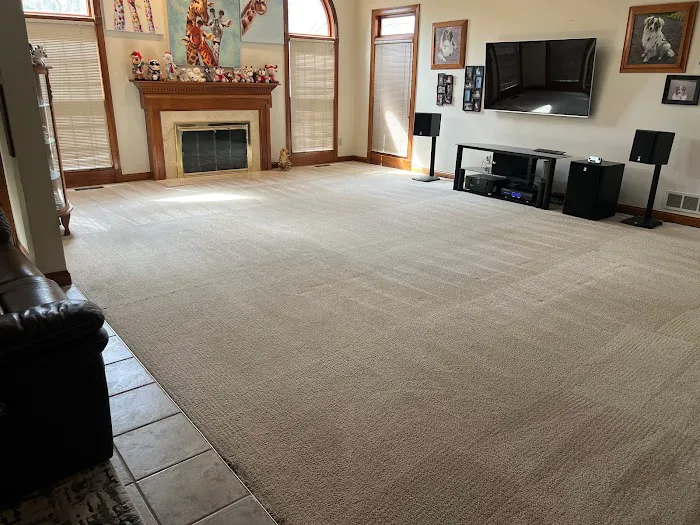 King of Kings Carpet Cleaning Picture 3