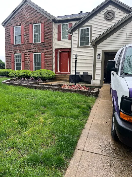 King of Kings Carpet Cleaning Picture 10