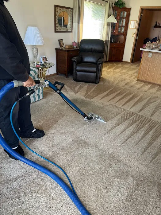 King of Kings Carpet Cleaning Picture 2