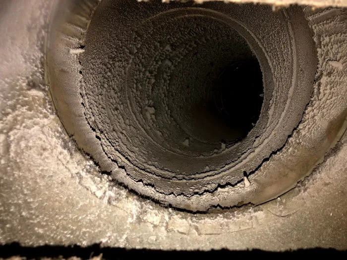 King of Kings Carpet Cleaning Picture 9