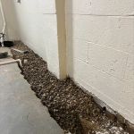 Rogers Basement Waterproofing