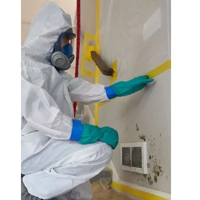 National Mold Removal Picture 5