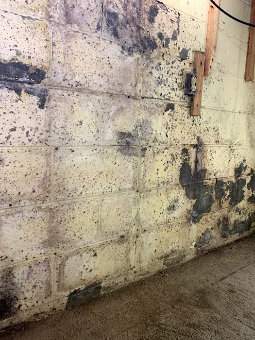 National Mold Removal Picture 10