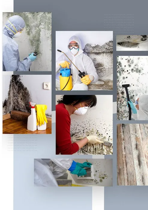 National Mold Removal Picture 7