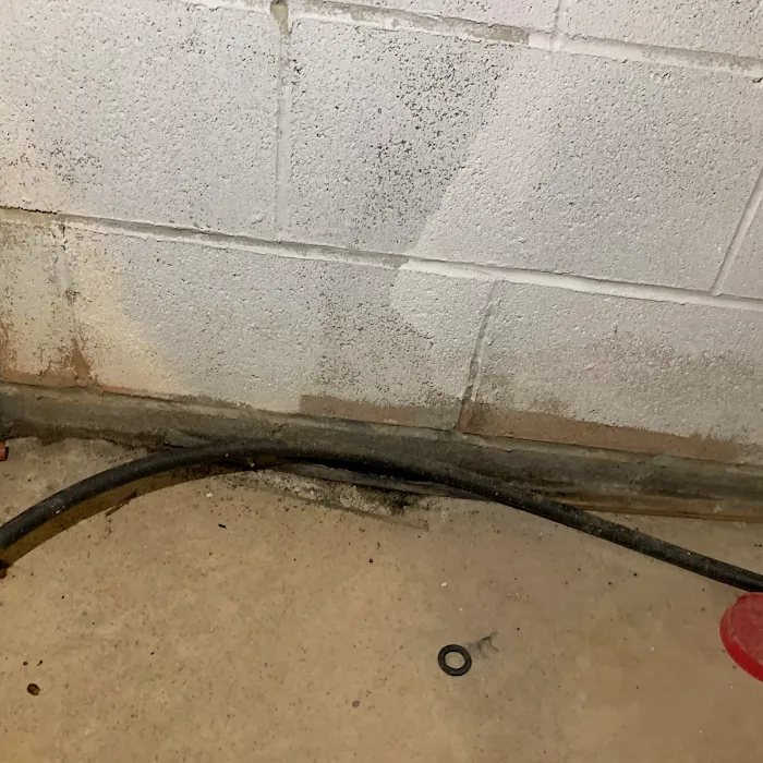 National Mold Removal Picture 9