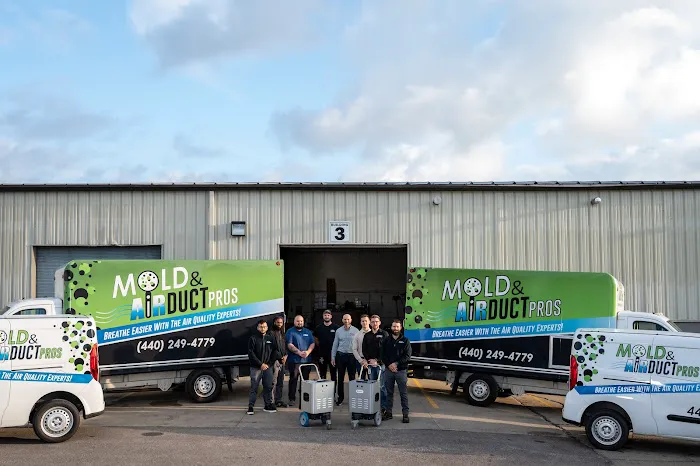 Mold and Air Duct Pros Picture 1