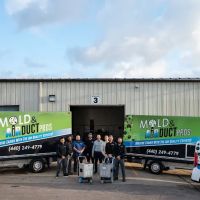 Mold and Air Duct Pros ico