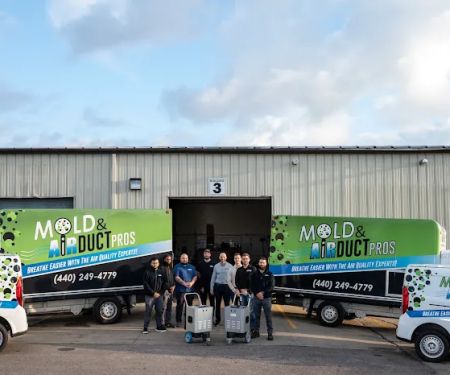 Mold and Air Duct Pros